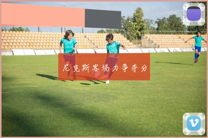 尼克斯客场力争夺分