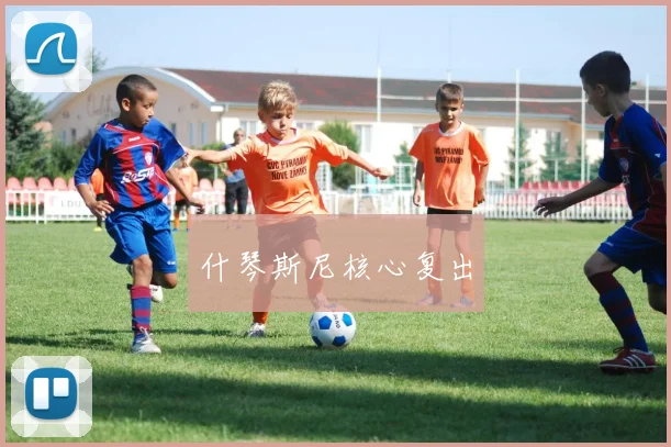 什琴斯尼核心复出