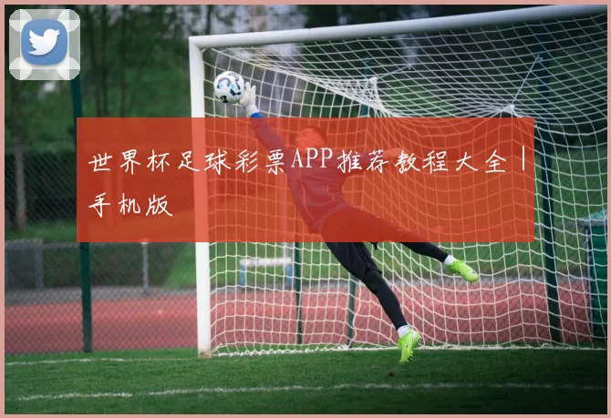 世界杯足球彩票APP推荐教程大全｜手机版