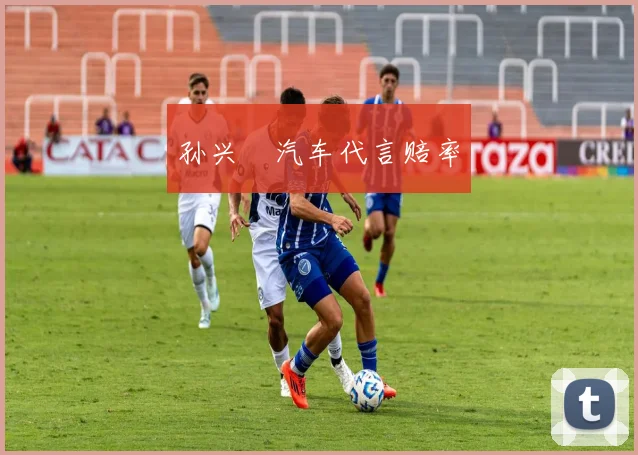 孙兴慜汽车代言赔率